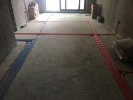 大都会